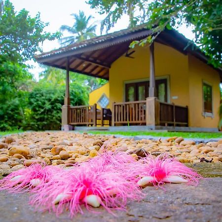 Birds Paradise Cabanas أونا واتونا المظهر الخارجي الصورة