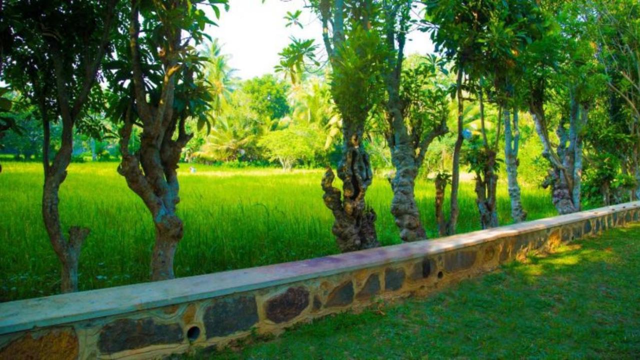 Birds Paradise Cabanas أونا واتونا المظهر الخارجي الصورة