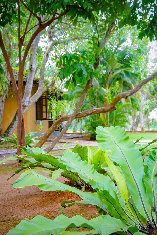 Birds Paradise Cabanas أونا واتونا المظهر الخارجي الصورة