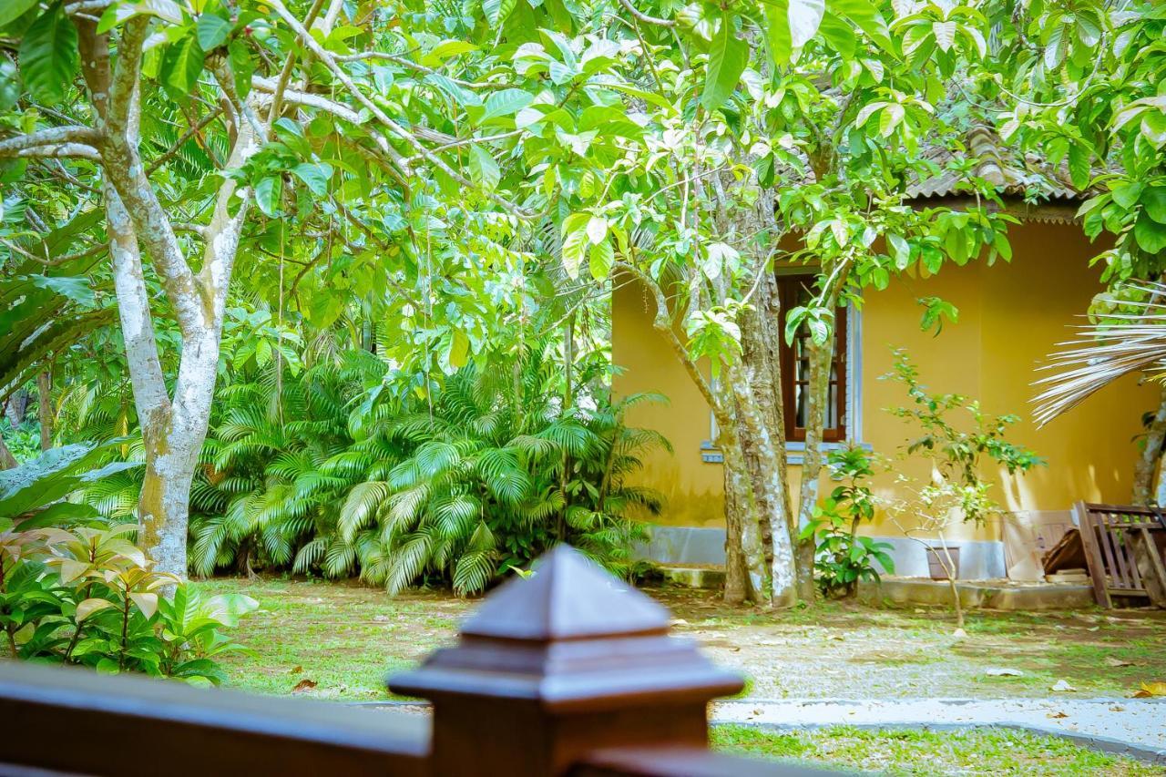 Birds Paradise Cabanas أونا واتونا المظهر الخارجي الصورة