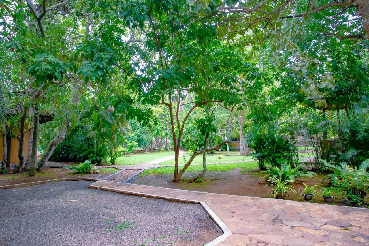 Birds Paradise Cabanas أونا واتونا المظهر الخارجي الصورة