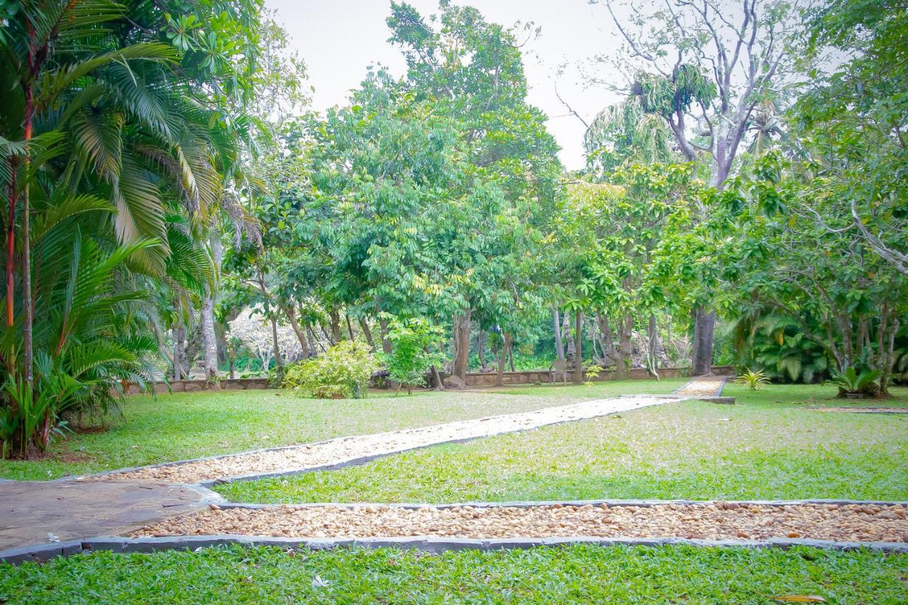 Birds Paradise Cabanas أونا واتونا المظهر الخارجي الصورة
