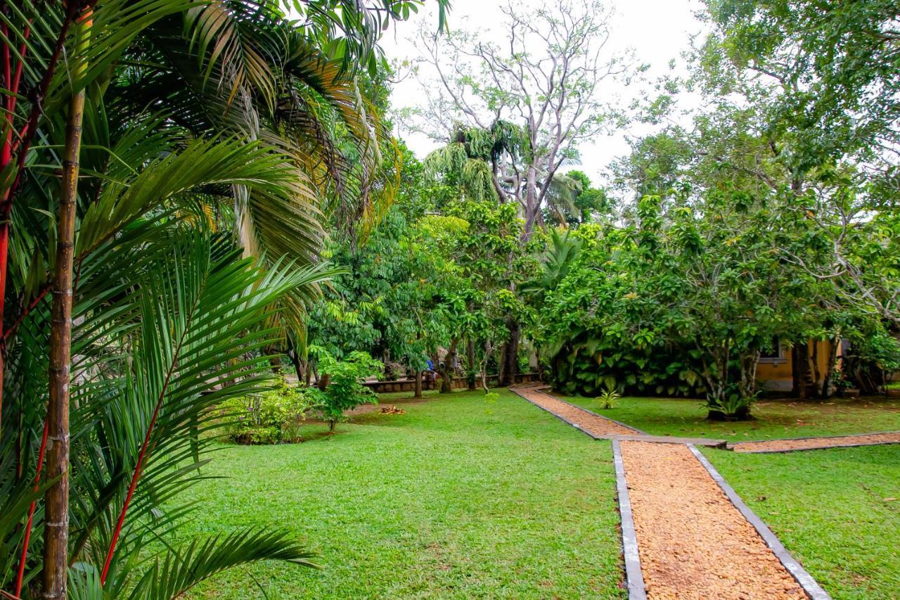 Birds Paradise Cabanas أونا واتونا المظهر الخارجي الصورة